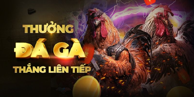 Các khuyến mãi hấp dẫn thu hút người chơi